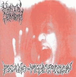 Mental Demise : Psycho-Penetration - The Inexperienced Butchery